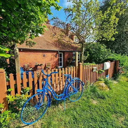 아파트 Lichtdurchflutete Dachgeschosswohnung Mit Charme *