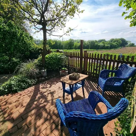 아파트 Lichtdurchflutete Dachgeschosswohnung Mit Charme Goldenstedt