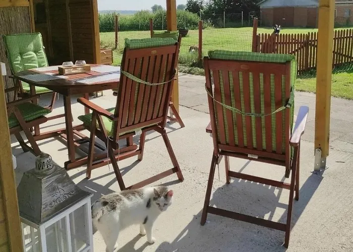 Lichtdurchflutete Dachgeschosswohnung Mit Charme Апартаменты